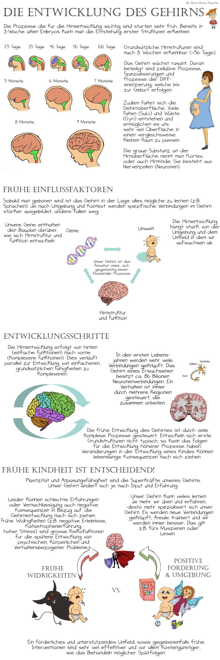 BrainDevelopment_Long_Deutsch