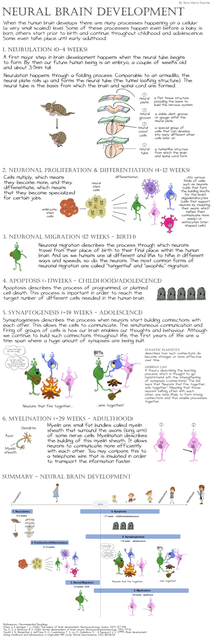 Neural_BrainDevelopment