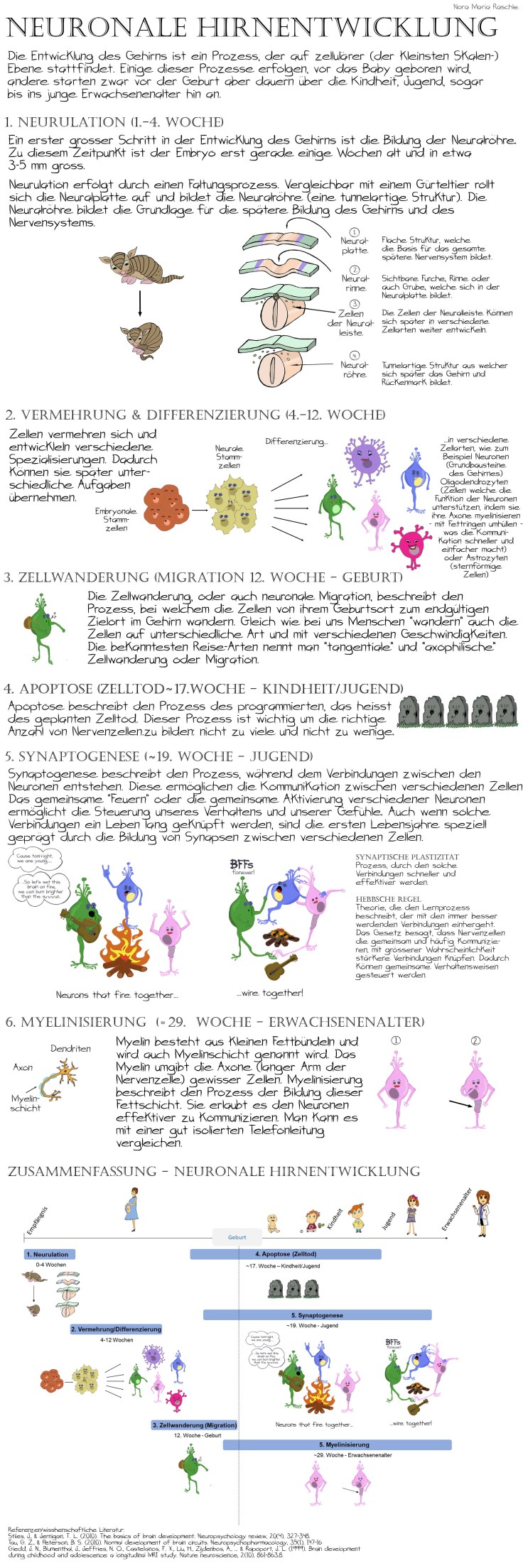 Neural_BrainDevelopment_Deutsch