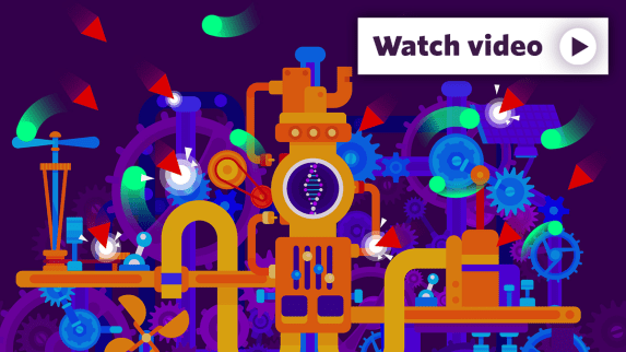 braindevelopment_playbutton (1).png